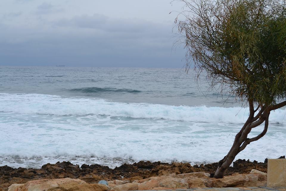 Παραμονή Θεοφανείων 05 01 2016 (12)