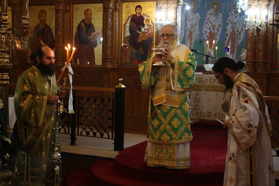 Εθνικό Μνημόσυνο Δημητράκη Χριστοδούλου 14 02 2016 (5)