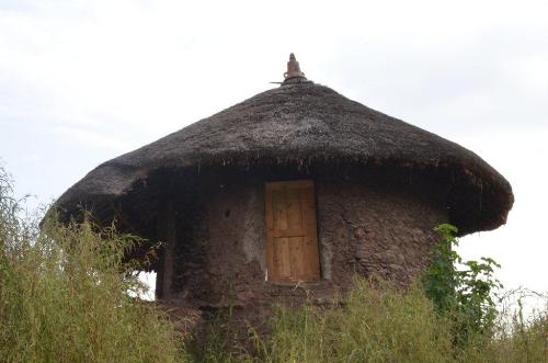 800_original 800_original