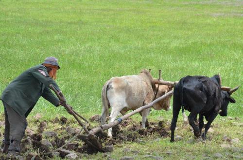 804_original 804_original