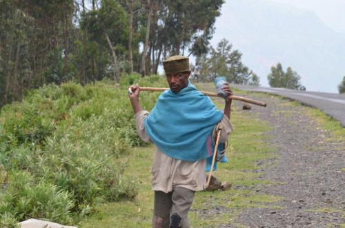 805_original 805_original