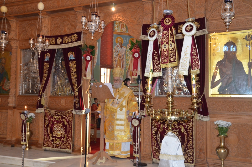 DSC_5311 DSC_5311