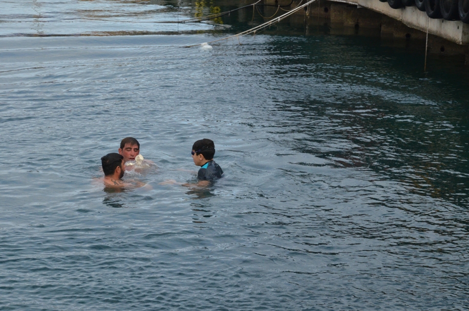 DSC_5387 DSC_5387
