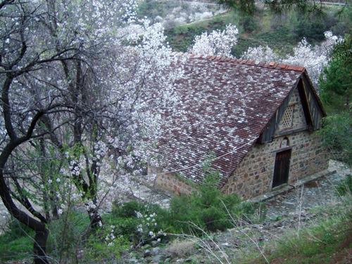 Ι. ΜΟΝΗ ΤΙΜΙΟΥ ΣΤΑΥΡΟΥ ΑΓΙΑΣΜΑΤΙ
