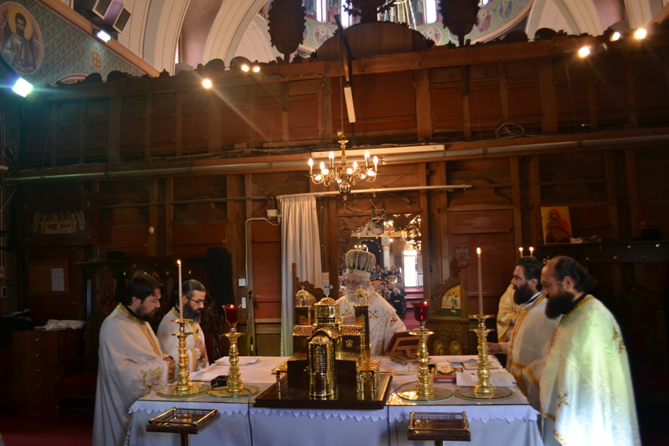 myroforwn 30-4-2017 (4)