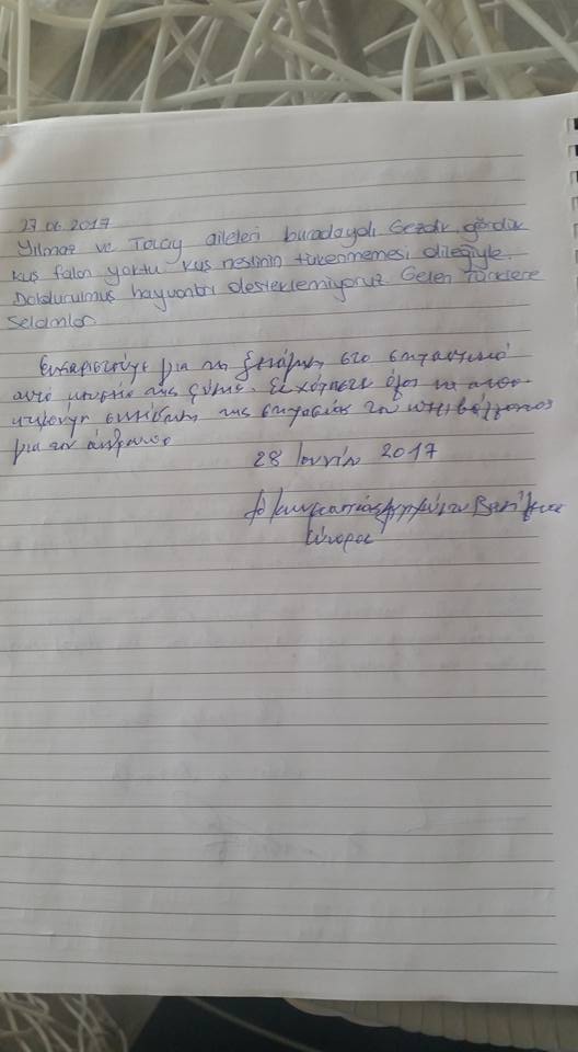 silistra iounios 2017 (16)