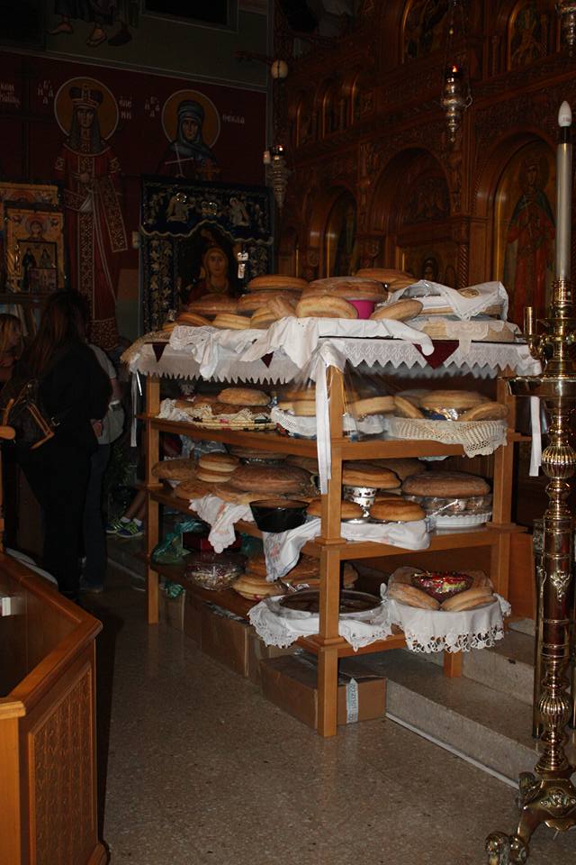 esperinos ayia napa 07092017 (6)