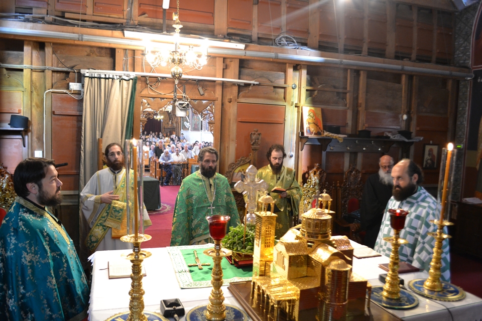 ypsosis timiou stavrou 2017 (2)