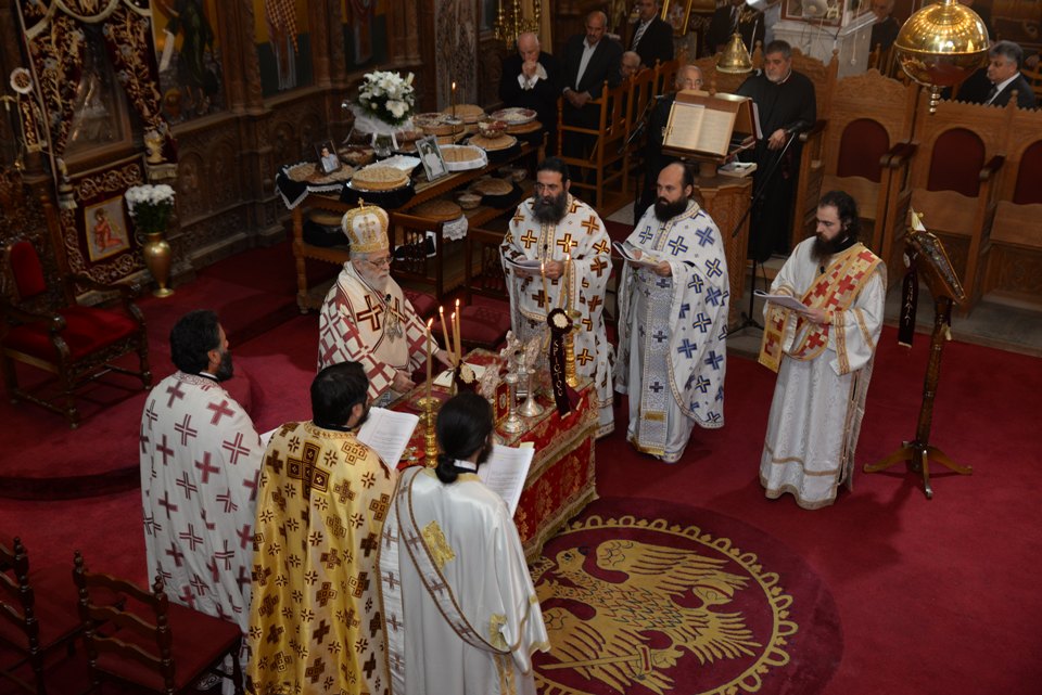 leitoyrgia adelfotheou 31-12-2017 (10) leitoyrgia adelfotheou 31-12-2017 (10)