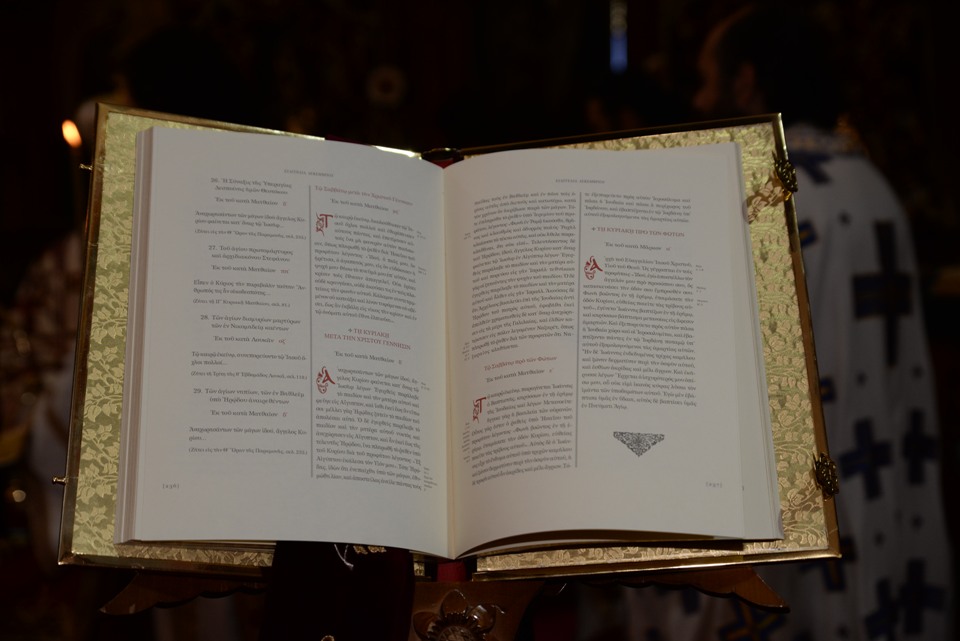 leitoyrgia adelfotheou 31-12-2017 (14) leitoyrgia adelfotheou 31-12-2017 (14)