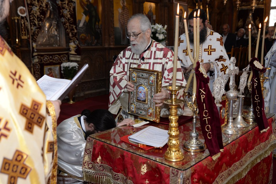 leitoyrgia adelfotheou 31-12-2017 (15) leitoyrgia adelfotheou 31-12-2017 (15)