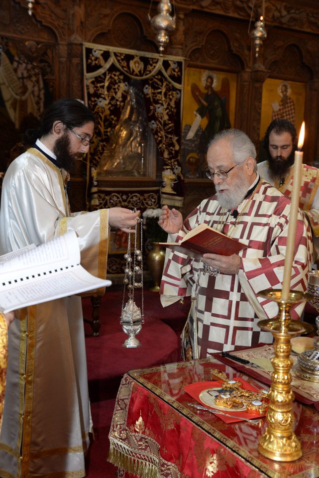 leitoyrgia adelfotheou 31-12-2017 (20) leitoyrgia adelfotheou 31-12-2017 (20)