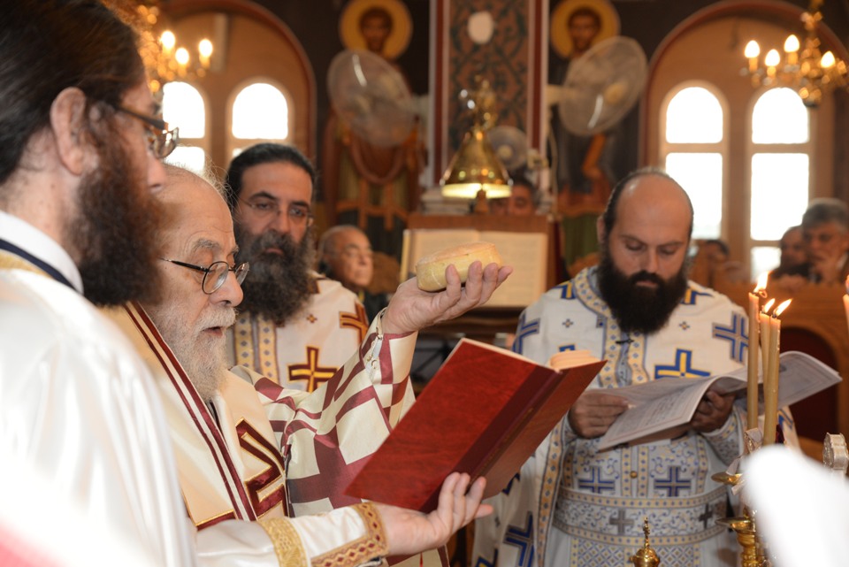 leitoyrgia adelfotheou 31-12-2017 (22) leitoyrgia adelfotheou 31-12-2017 (22)