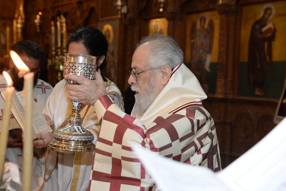 leitoyrgia adelfotheou 31-12-2017 (23) leitoyrgia adelfotheou 31-12-2017 (23)