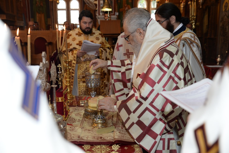 leitoyrgia adelfotheou 31-12-2017 (25) leitoyrgia adelfotheou 31-12-2017 (25)