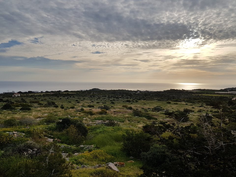 agioi saranta 10-03-2018 (2) agioi saranta 10-03-2018 (2)