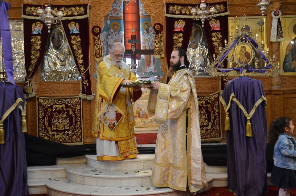 proti anastasi 2018 (12)