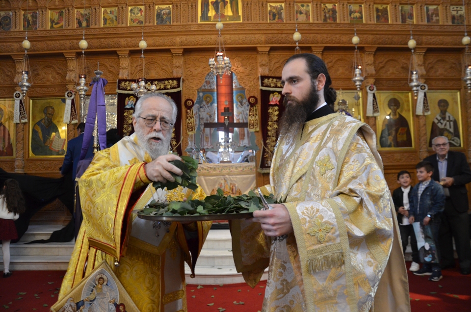 proti anastasi 2018 (13)