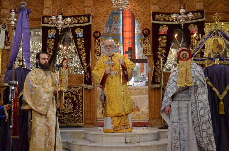 proti anastasi 2018 (16)