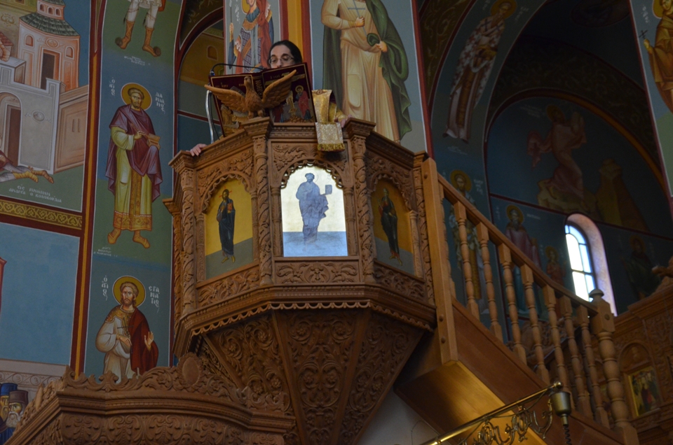 proti anastasi 2018 (17)