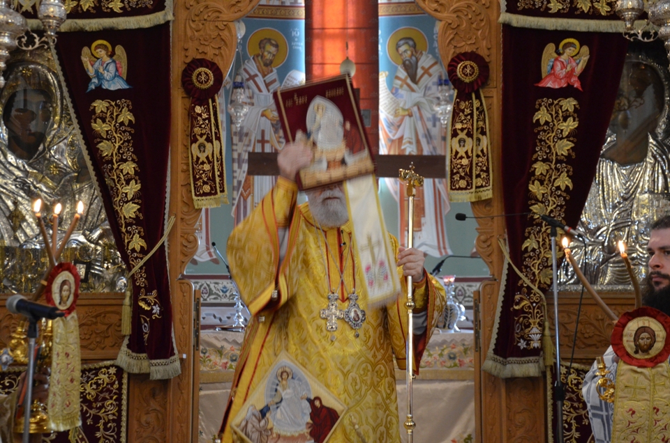 proti anastasi 2018 (19)