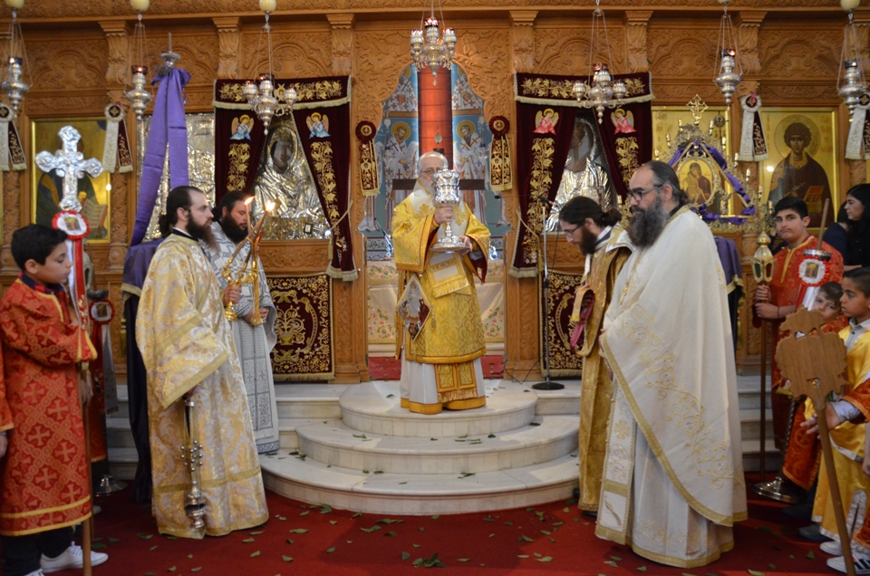 proti anastasi 2018 (20)