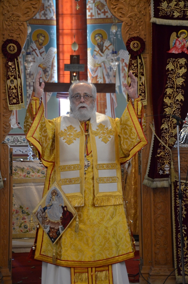 proti anastasi 2018 (21)