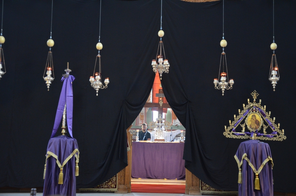 proti anastasi 2018 (5)