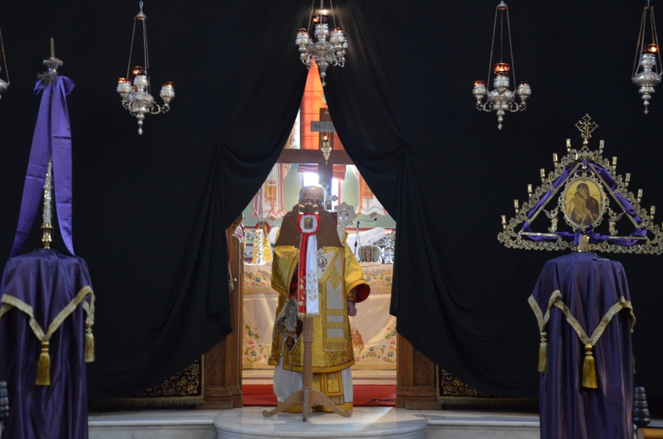 proti anastasi 2018 (8)