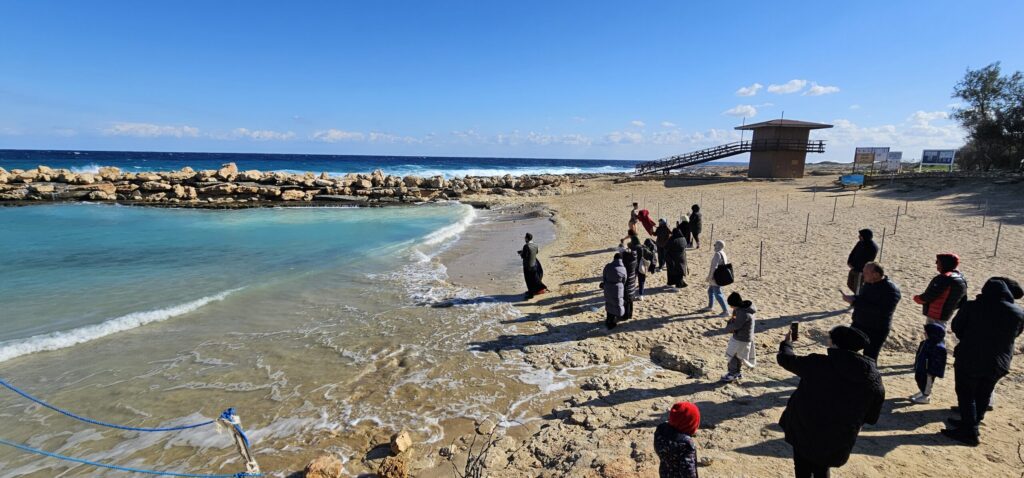 20260119_theofaneia rwssoi (4)