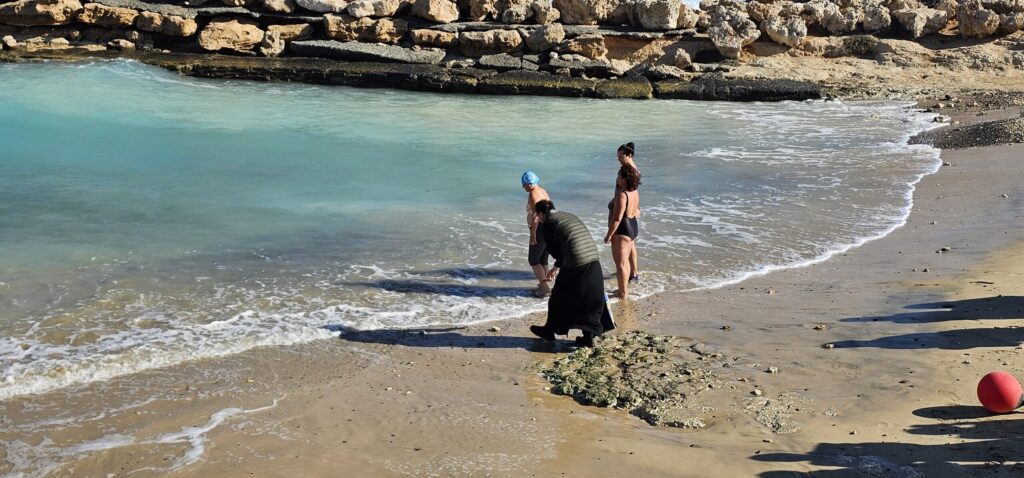 20260119_theofaneia rwssoi (6)