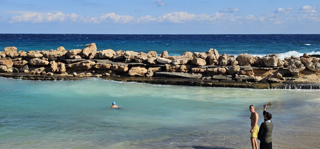 20260119_theofaneia rwssoi (8)